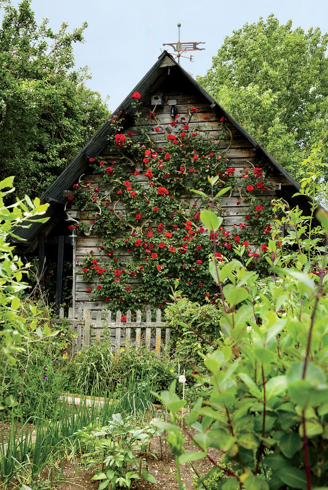 Caroline Sieber's romantic home