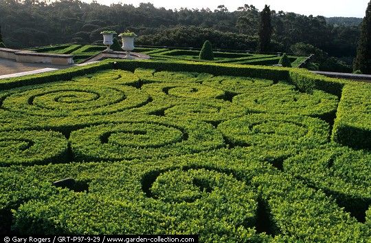 Quinta Patiño jardín