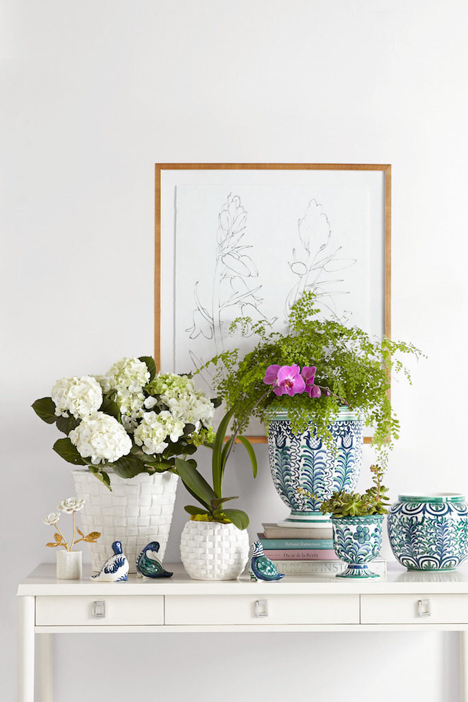 Aerin for Williams Sonoma