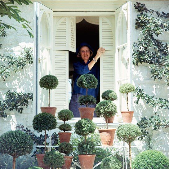 Rachel "Bunny" Mellon with a gathering of her topiaries, photographed at a window of her Virginia home (Vogue, 1965). Photo: Horst P. Horst/Condé Nast Archive
