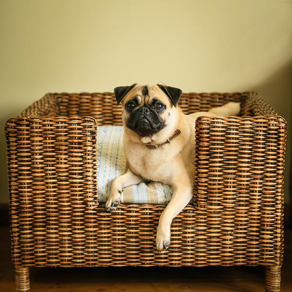 Kalinko rattan dog bed