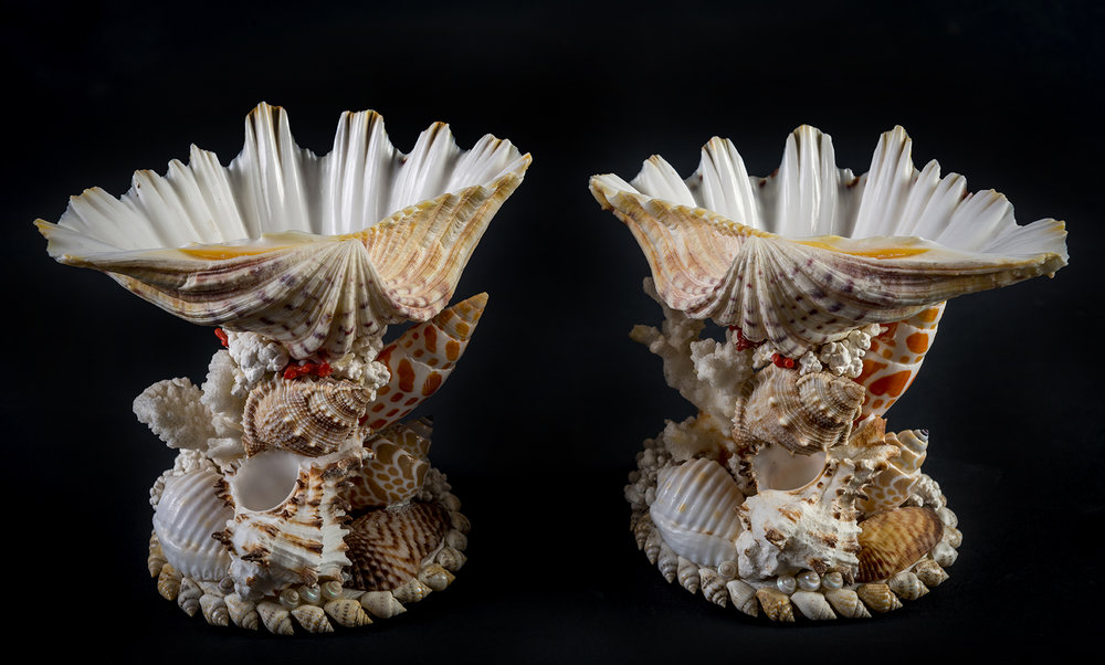 tess morley shell art