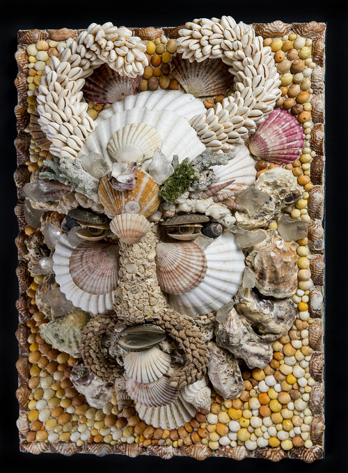 tess morley shell art