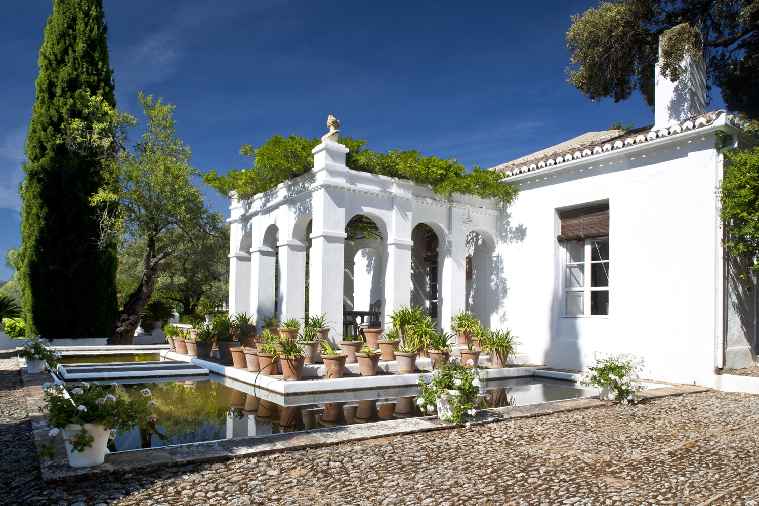 Villa Cortijo la Vinuela Mario Connio