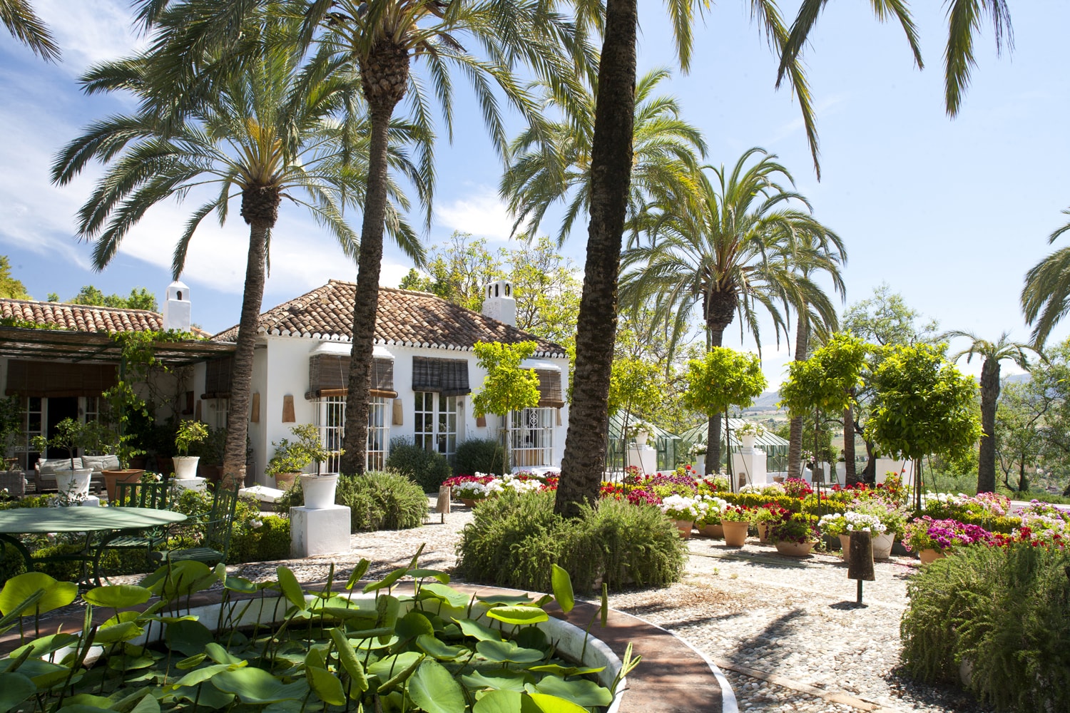 Villa Cortijo la Vinuela Mario Connio